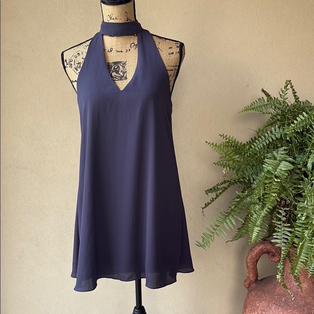 Impeccable Pig dress